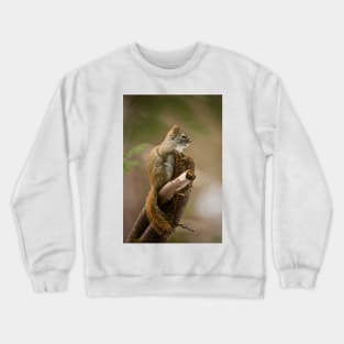 Red Squirrel Crewneck Sweatshirt